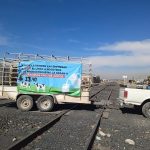 Adeuda Liconsa de 60 hasta 800 mil pesos