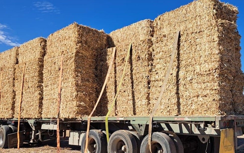 Darán alimento para ganado a pequeños productores rurales