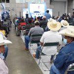 Guanajuato, líder nacional en producción de leche de cabra