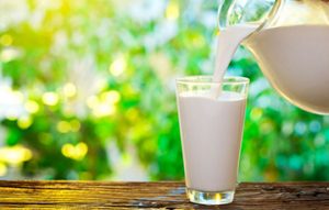 Leche: Insumo verde, producto blanco