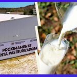 Leche del Bienestar cuánto costará el litro y dónde la venderán