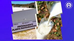 Leche del Bienestar cuánto costará el litro y dónde la venderán