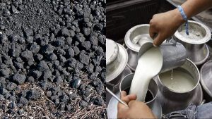 Leche del Bienestar podría estar contaminada si se produce en Tamuín, advierten