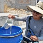 Lechero de Acámbaro prospera en tiempo de calor Las vacas felices dan más leche