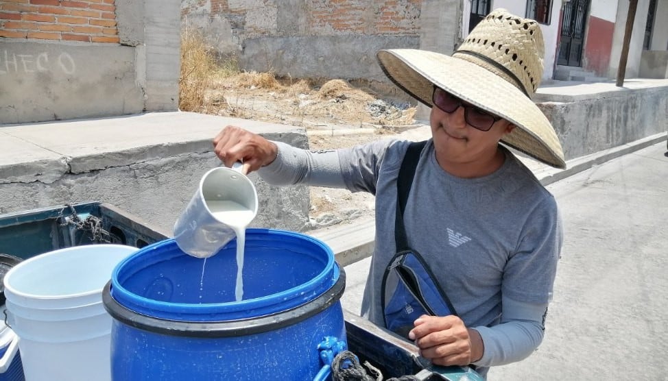 Lechero de Acámbaro prospera en tiempo de calor Las vacas felices dan más leche