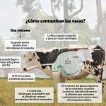 Nuevo tipo de alimento para el ganado que genera menos eructos y flatulencias, reduciendo las emisiones de metano animal