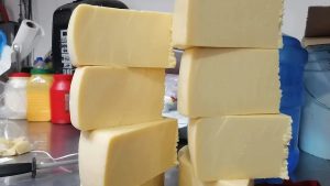 Queseros de Mazatlán reportan una disminución del 40 por ciento en las ventas por la inseguridad