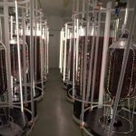 Una Granja Australiana Apuesta Por Las Algas Para Limitar El Metano Del Ganado Y Luchar Contra El Cambio Climático