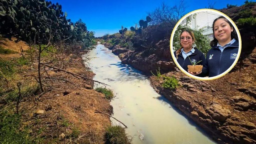 Alumnas del Conalep Tulancingo proponen uso de lactosuero en proyectos sostenibles