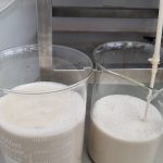 Brasil innova proteínas lácteas sin vacas en 2026