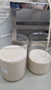Brasil innova proteínas lácteas sin vacas en 2026