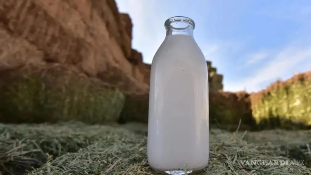 Celebra AMLAC la contribución del sector lechero en la nutrición de los mexicanos