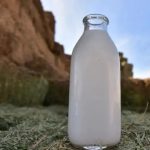 Celebra AMLAC la contribución del sector lechero en la nutrición de los mexicanos