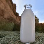 Celebramos la contribución del sector lechero en la nutrición de los mexicanos Amlac