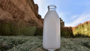 Celebramos la contribución del sector lechero en la nutrición de los mexicanos Amlac