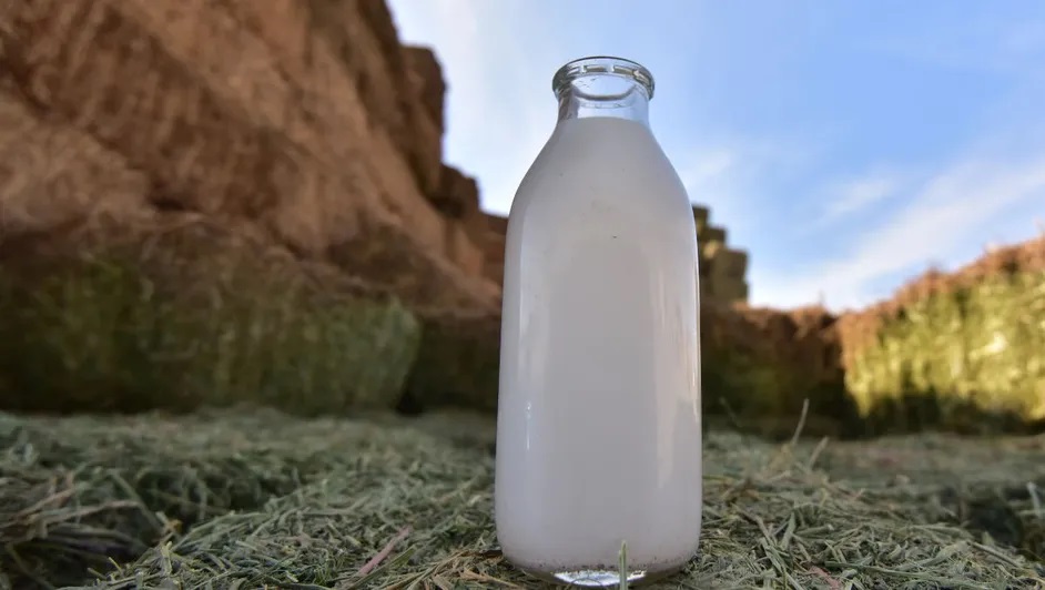 Celebramos la contribución del sector lechero en la nutrición de los mexicanos Amlac