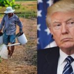 Crisis Inminente El Campo de EE. UU. en Riesgo sin Migrantes