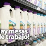 Desaparece Leche Jersey
