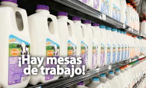 Desaparece Leche Jersey
