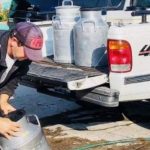 Desapareció o está en crisis la cuenca lechera de Atlixco