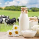 El poder de la leche una clave para la salud y motor de la industria láctea en América Latina