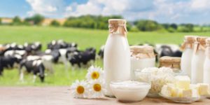 El poder de la leche una clave para la salud y motor de la industria láctea en América Latina