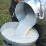 Pega por todos lados el calor; sufre principal cuenca lechera de Sinaloa disminución en la producción diaria