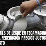 Productores de leche en Tecamachalco piden a la federación precios justos por su producto