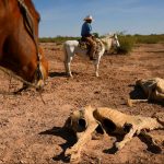 Sequía histórica golpea al norte de México Los pozos se secan