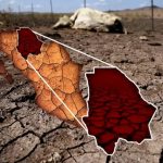 Sequía implacable en Chihuahua quedan sin sembrar 60 mil hectáreas de campos agrícolas