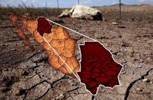 Sequía implacable en Chihuahua quedan sin sembrar 60 mil hectáreas de campos agrícolas
