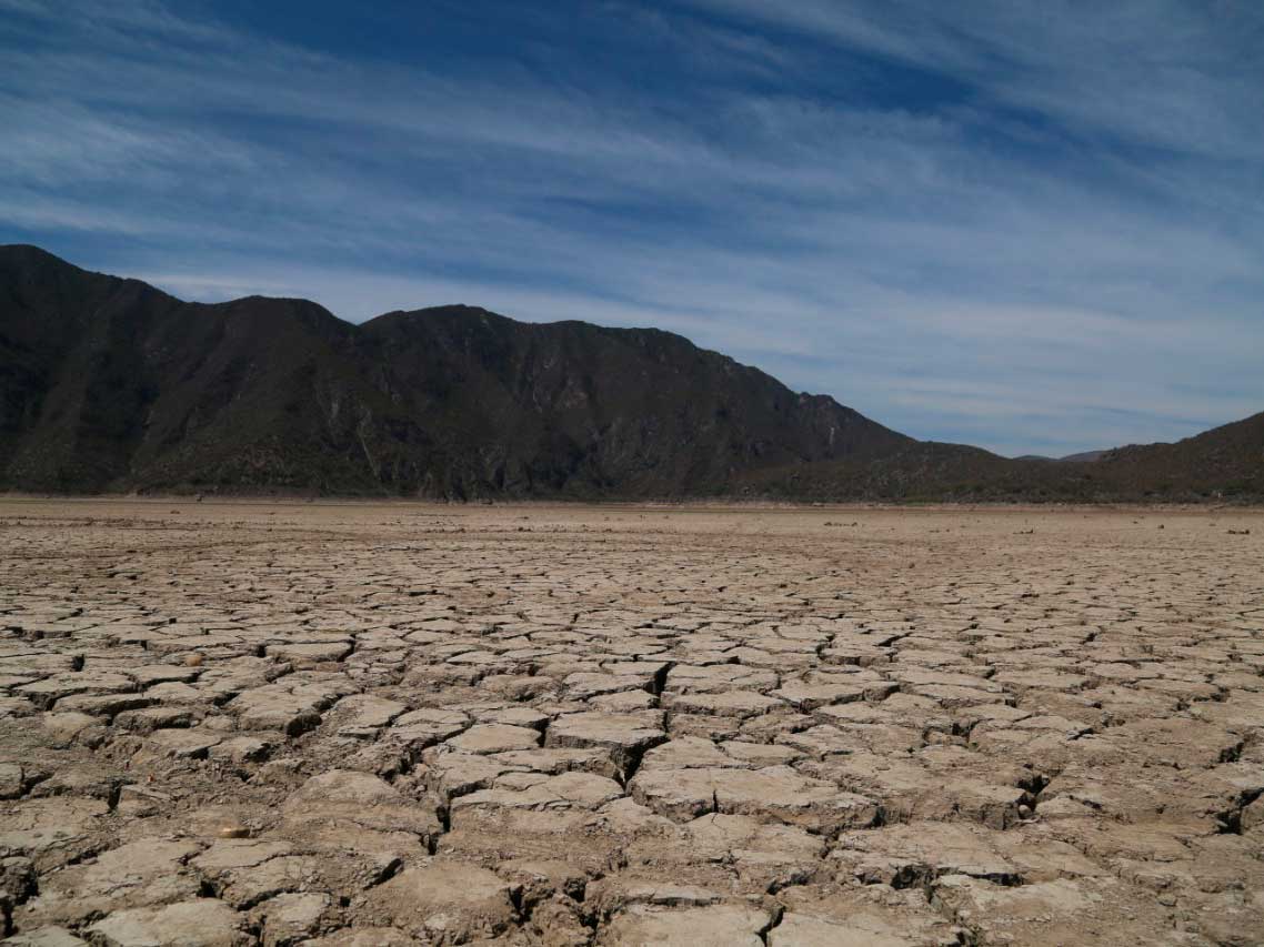 Sequía implacable en Chihuahua quedan sin sembrar 60 mil hectáreas de campos agrícolas1