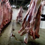 Suiza lanza una etiqueta polémica los alimentos deberán advertir si hubo sufrimiento animal