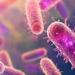 Un nuevo estudio muestra que el consumo de leche mejora la biodiversidad intestinal y el queso reduce ciertos microbios