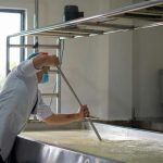Alerta Sanitaria Decomisan Lácteos por Brucelosis