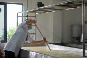 Alerta Sanitaria Decomisan Lácteos por Brucelosis