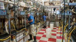 Alpura Apuesta al Diálogo Buscan Evitar Mega Huelga