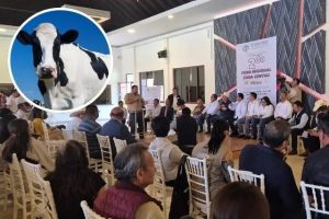Atlixco Clama por Activar su Cuenca Lechera