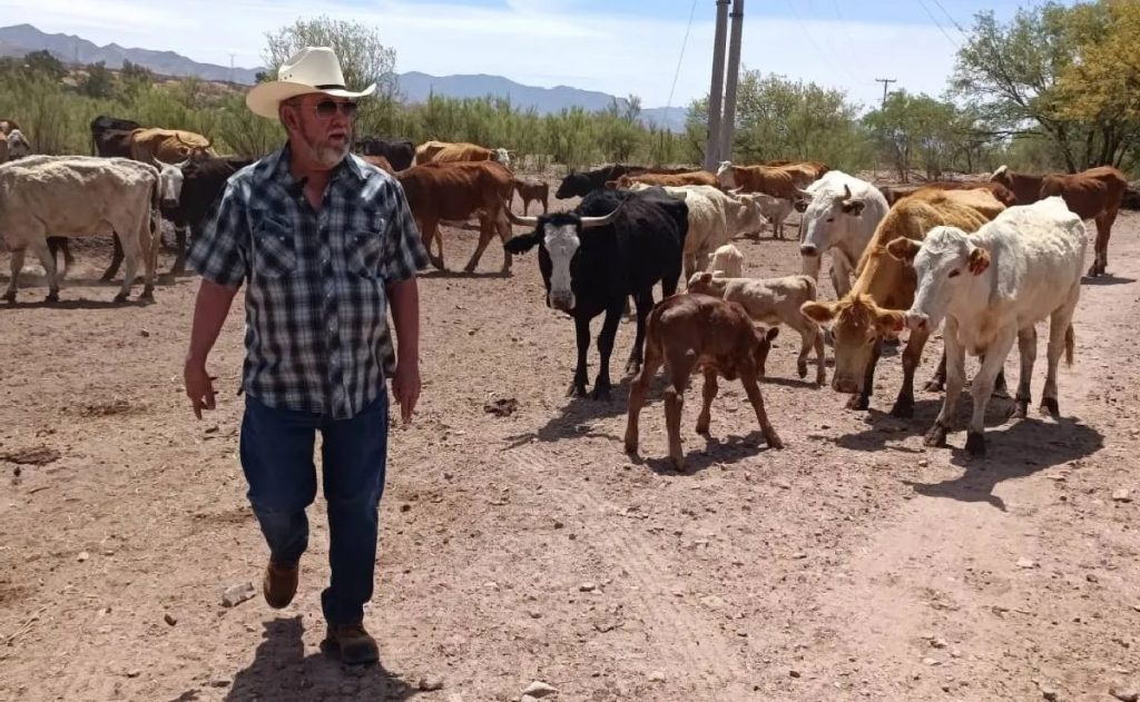 Crisis Múltiple Sonora Asfixia a Ganaderos