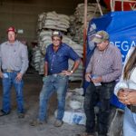 Cuauhtémoc Recibe 166 Toneladas de Concentrado Lechero