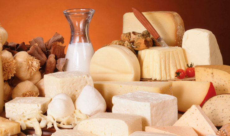 El Secreto del Queso Artesanal Mexicano Revelado