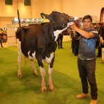 Éxito Total en el Tercer Foro Nacional Holstein en Querétaro