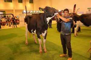 Éxito Total en el Tercer Foro Nacional Holstein en Querétaro