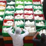 Gobierno Impulsa la Leche Clave para Tu Salud