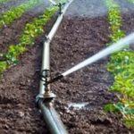 Inseguridad Dispara Precios del Campo