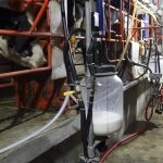 México Bebe Poca Leche FAO Alerta Nutricional
