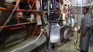 México Bebe Poca Leche FAO Alerta Nutricional