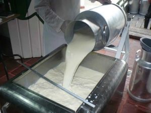 Planta Lechera en Tulancingo Costo Millonario