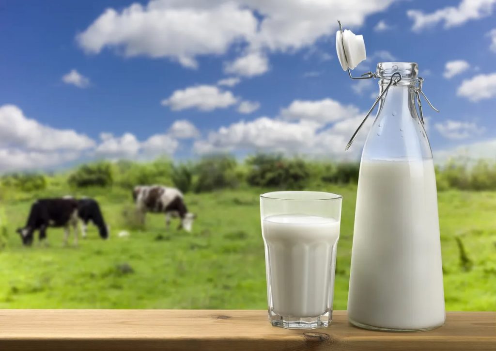 Tu Vaso de Leche en Peligro Impacto del Clima