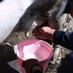 Acajete Productores Se Unen a LICONSA